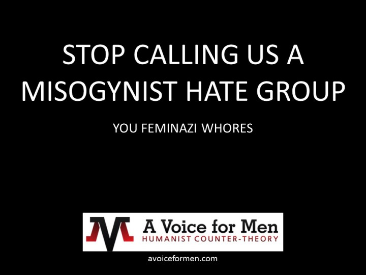 A_voice_for_men_humanist_counter_group