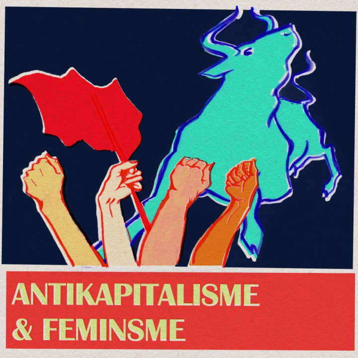 Antikapitalisme en feminisme
